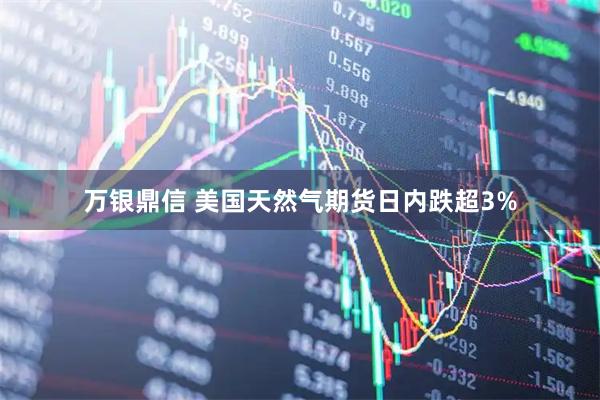 万银鼎信 美国天然气期货日内跌超3%