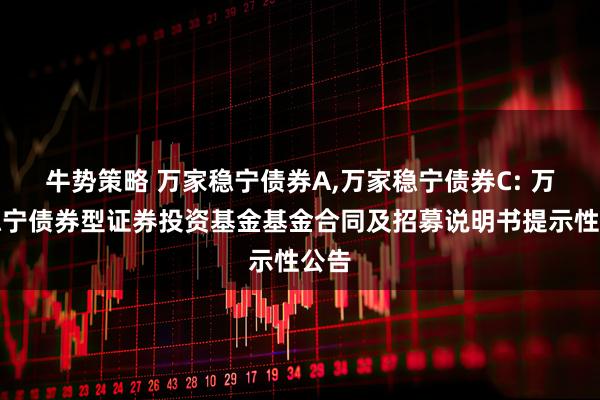 牛势策略 万家稳宁债券A,万家稳宁债券C: 万家稳宁债券型证券投资基金基金合同及招募说明书提示性公告