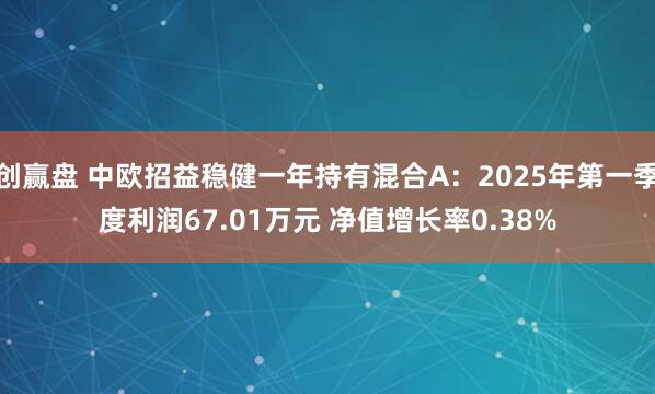 创赢盘 中欧招益稳健一年持有混合A：2025年第一季度利润67.01万元 净值增长率0.38%